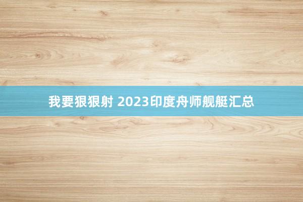 我要狠狠射 2023印度舟师舰艇汇总