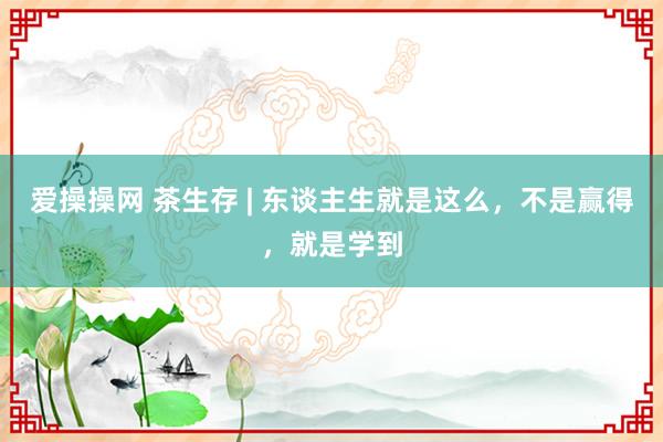 爱操操网 茶生存 | 东谈主生就是这么，不是赢得，就是学到