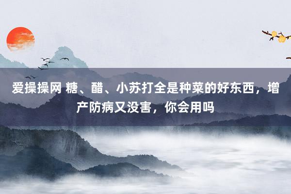 爱操操网 糖、醋、小苏打全是种菜的好东西，增产防病又没害，你会用吗