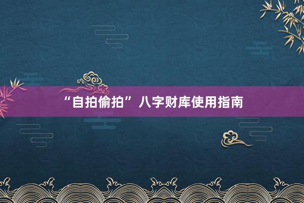 “自拍偷拍” 八字财库使用指南