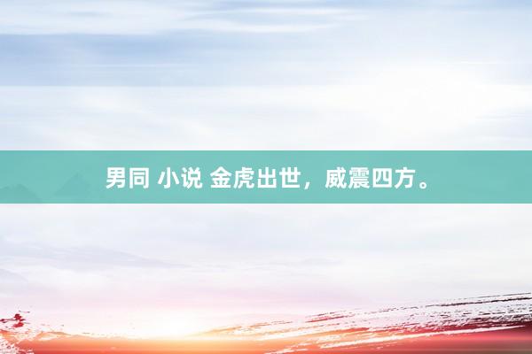 男同 小说 金虎出世，威震四方。