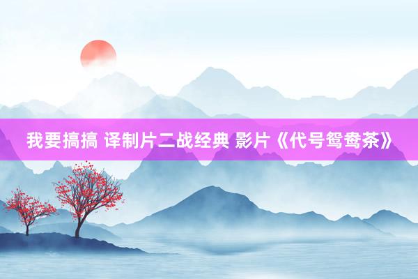 我要搞搞 译制片二战经典 影片《代号鸳鸯茶》